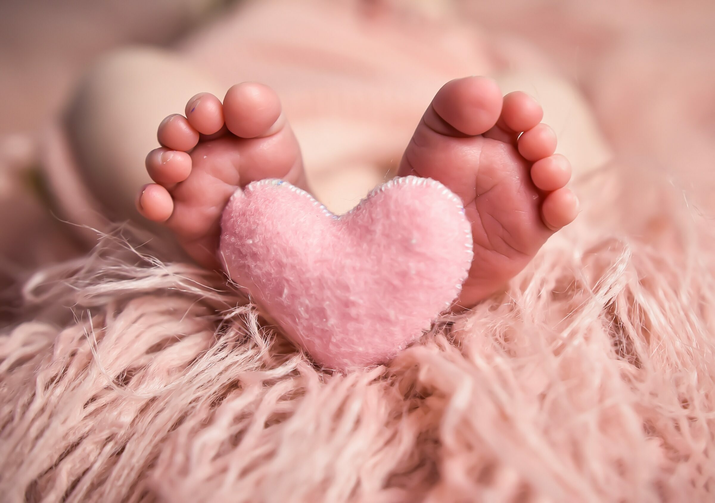 Foto de Oliveira Fotografia 26